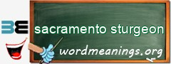 WordMeaning blackboard for sacramento sturgeon